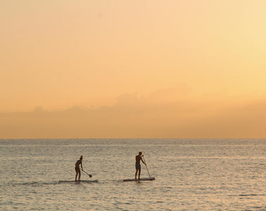 Best Water Sports to Try This Summer